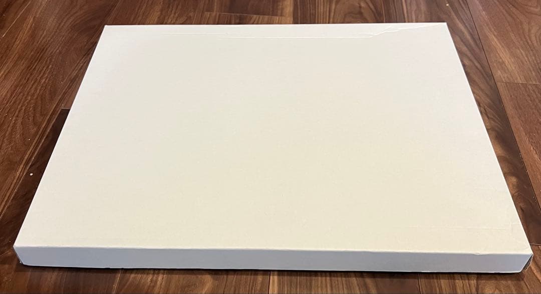 Sam Toft サムトフト 額装アート 犬と散歩 プリント 美品