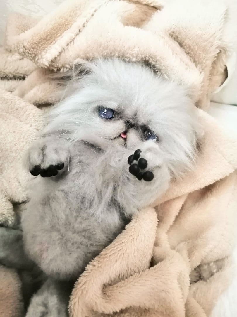 お腹ぽっこり♡ふわふわエキゾチックベビー♡アートドール♡ぬいぐるみ♡子猫ちゃん♡