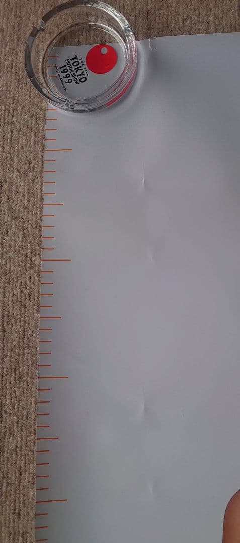 ✨正規品✨ 山本梓 等身大ポスター②