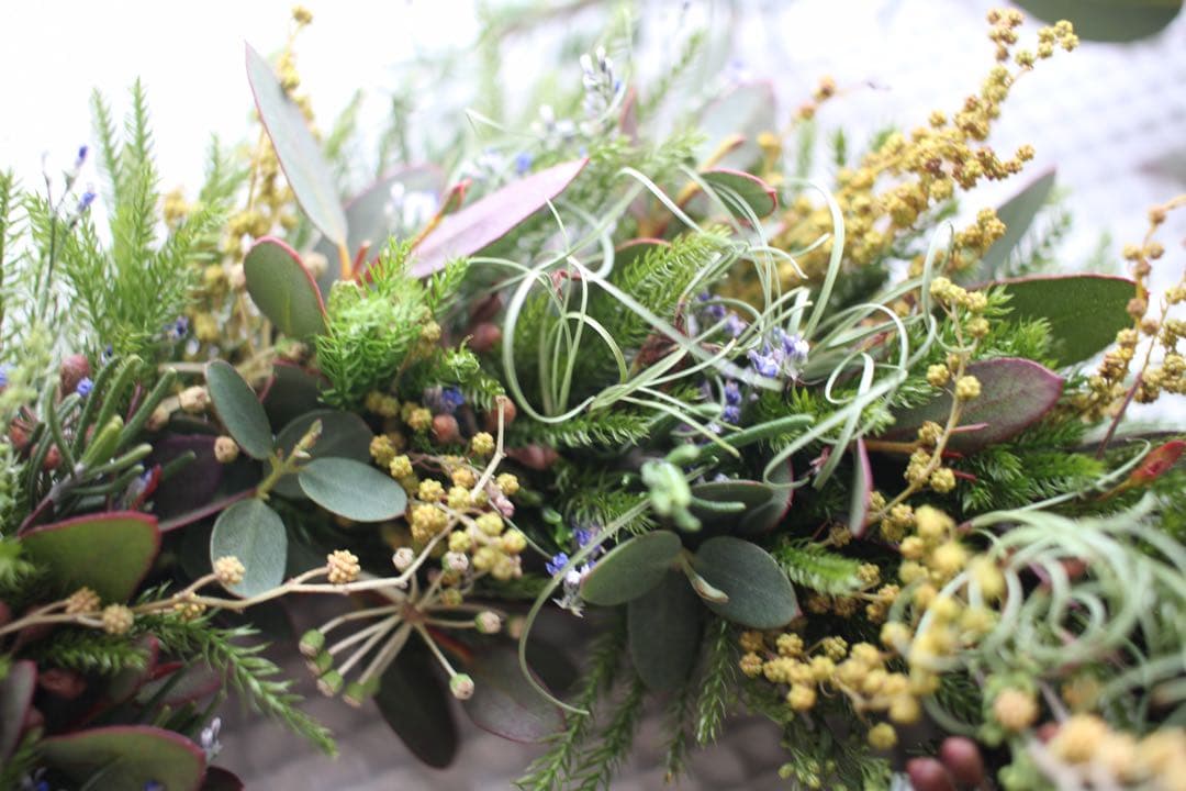 春の野原のグリーンリース＊ドライフラワーwreathe◎22センチ