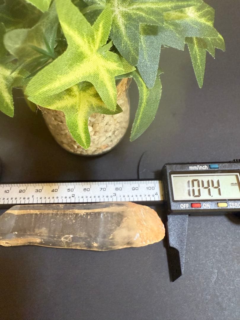 破格価格第２弾Special rank Bigピンクレムリアンシード