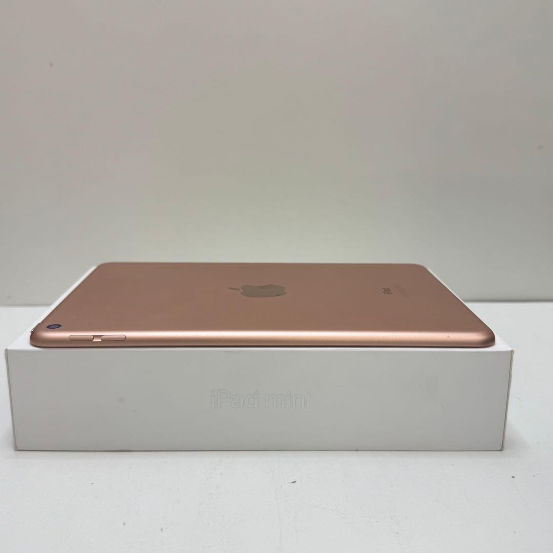 iPad Mini 第5世代 256GB Wi-Fi モデル