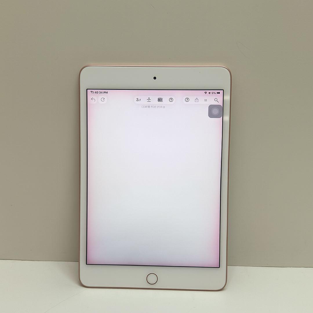 iPad Mini 第5世代 256GB Wi-Fi モデル