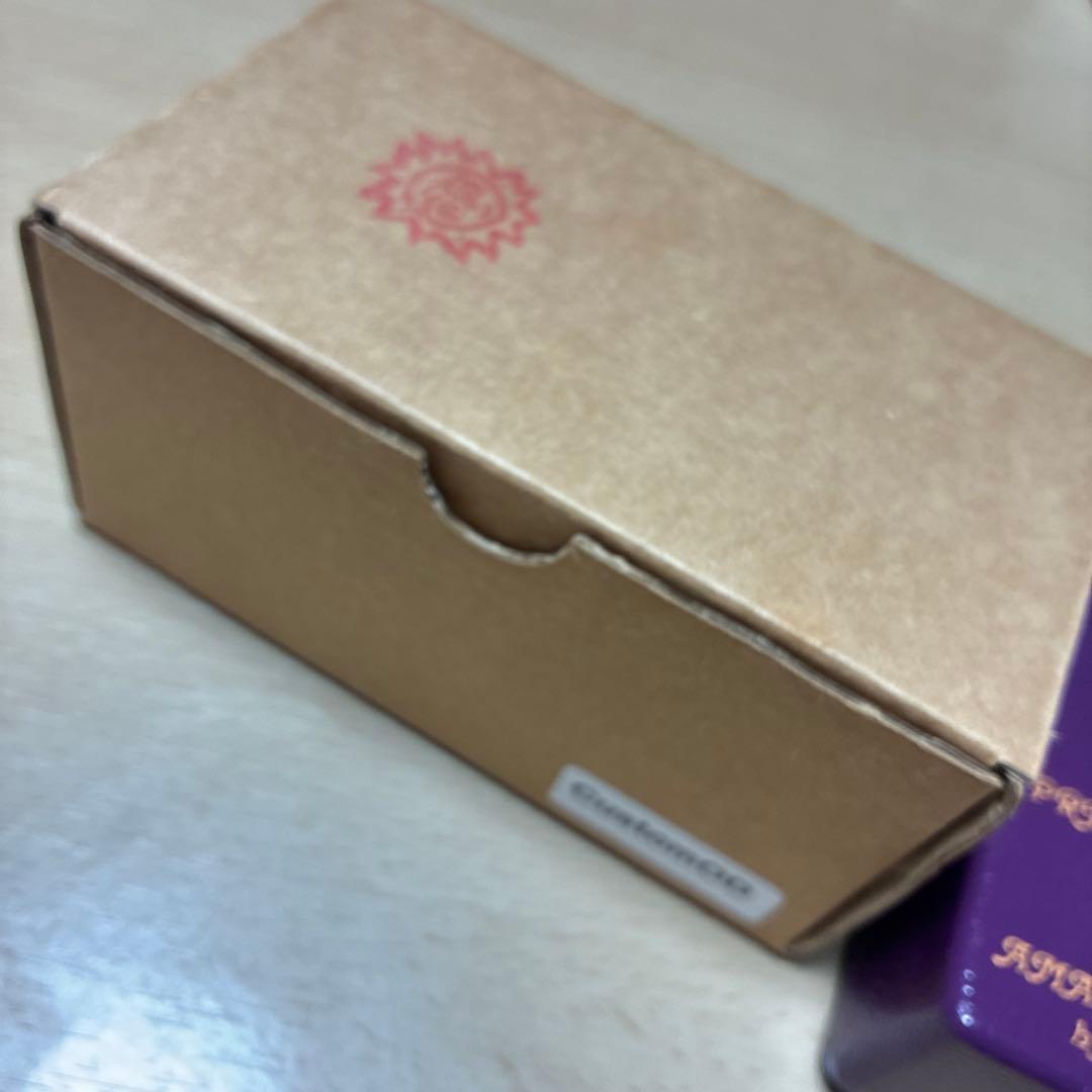 ANALOG MAN PRINCE OF TONE ギターエフェクター