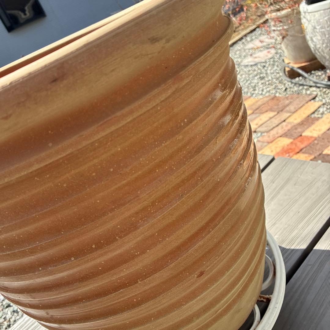 テラコッタ製ストライプ 大型植木鉢