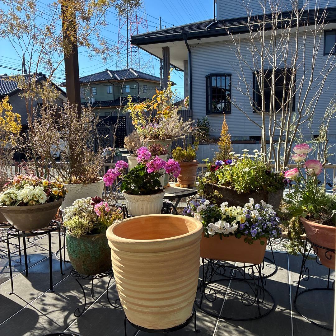 テラコッタ製ストライプ 大型植木鉢