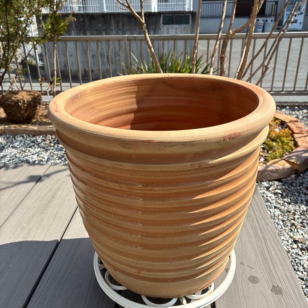 テラコッタ製ストライプ 大型植木鉢