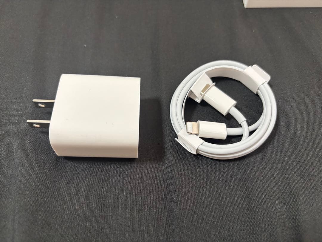 Apple iPad 第9世代　256GB シルバー ジャンク品