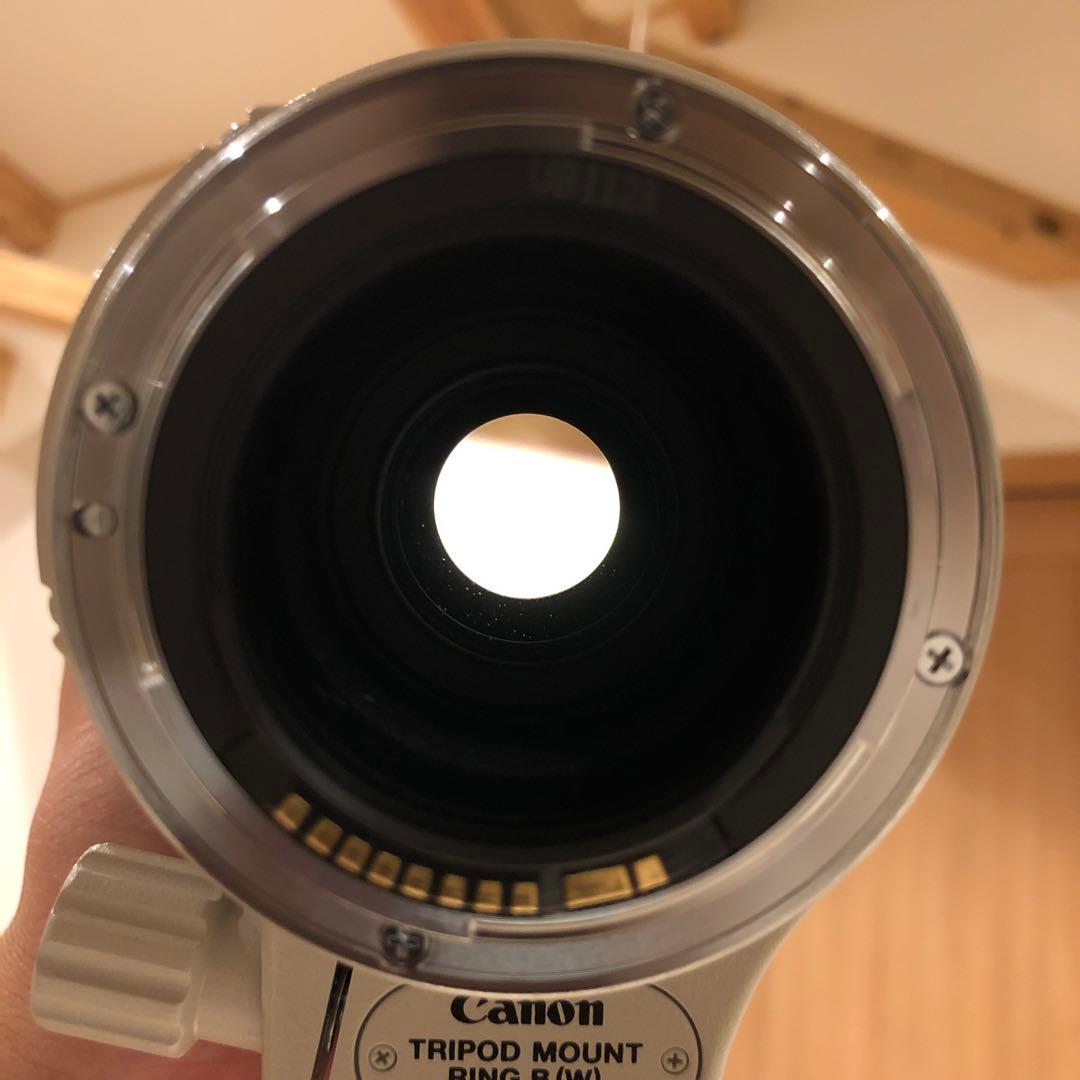 【極上品】Canon EF100-400 F4.5-5.6 L IS USM