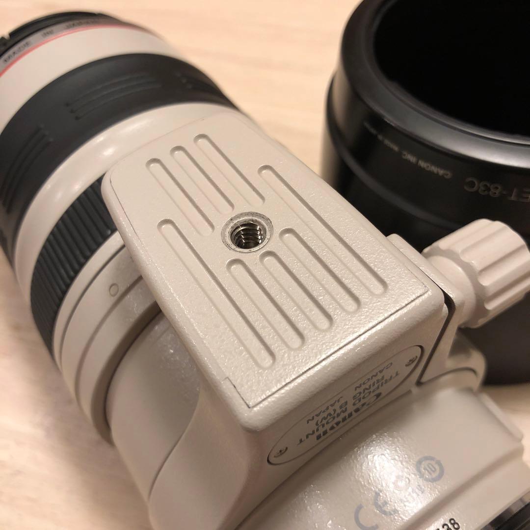 【極上品】Canon EF100-400 F4.5-5.6 L IS USM