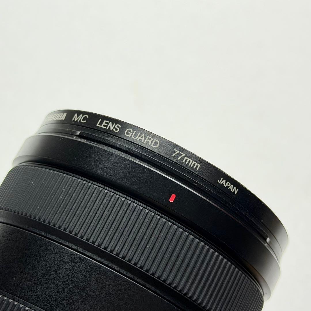 極美品｜SONY FE24-105mm F4 G OSS SEL24105G