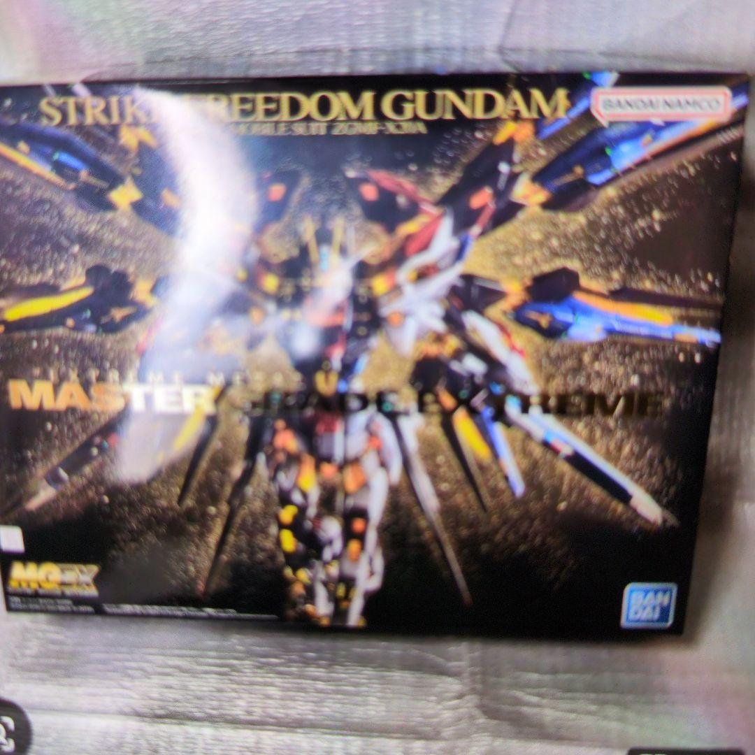 1/100MG EX.ZGMF-X20A.ストライクフリーダムガンダム。