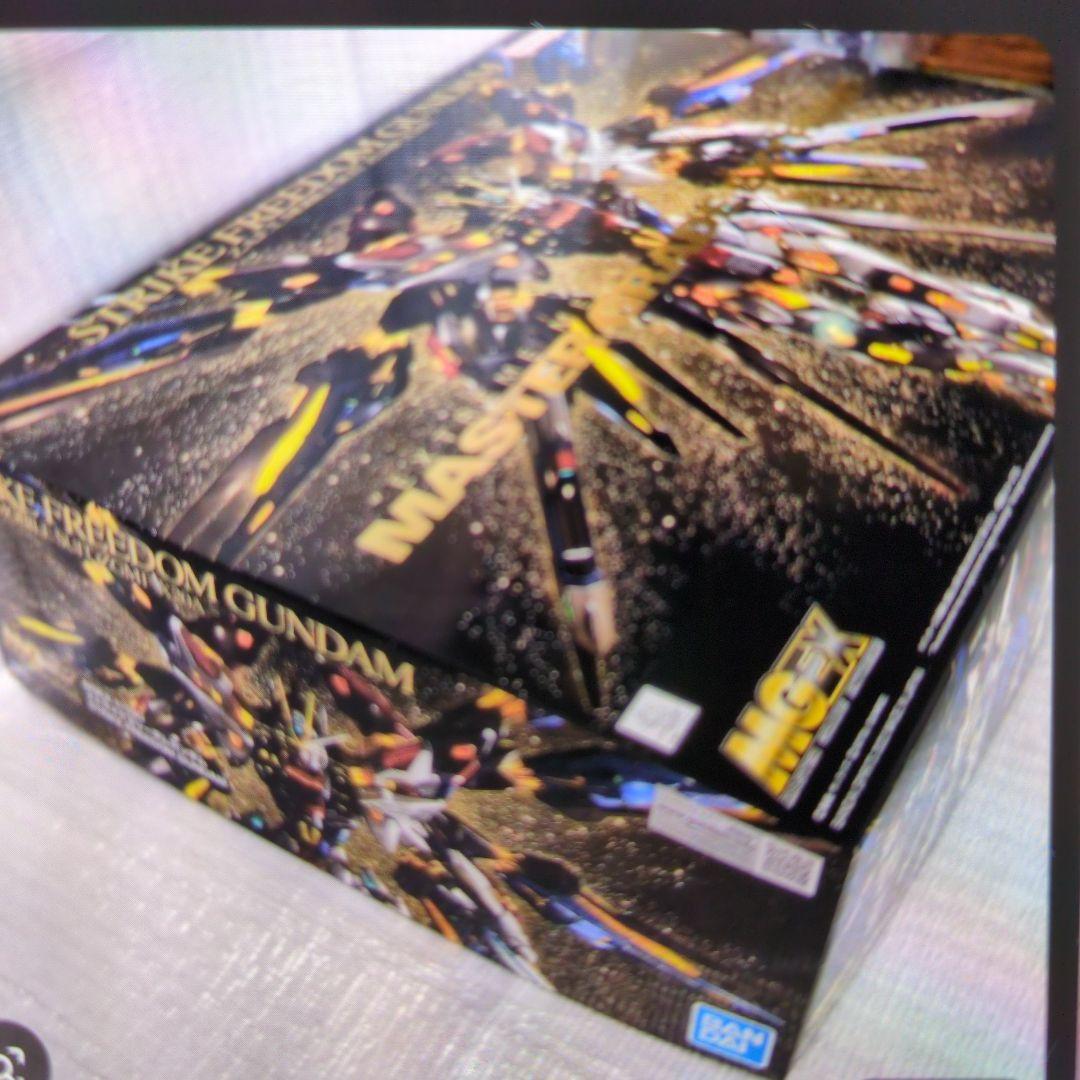 1/100MG EX.ZGMF-X20A.ストライクフリーダムガンダム。