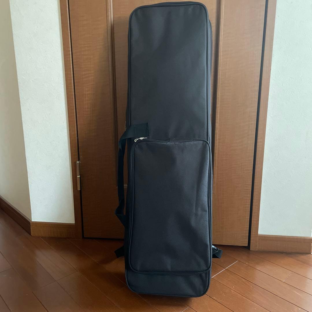 【美品】三線 蛇本革 ケース付き