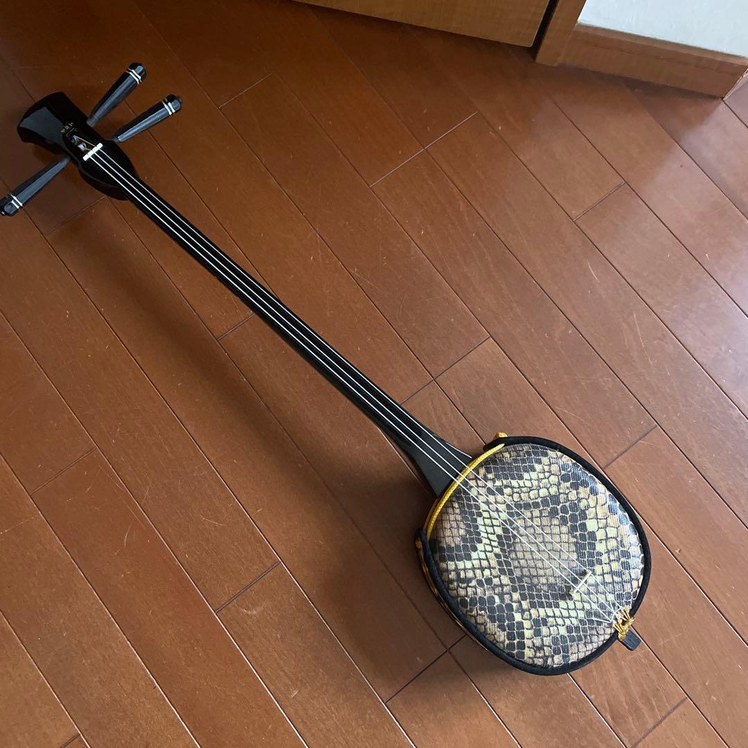 【美品】三線 蛇本革 ケース付き