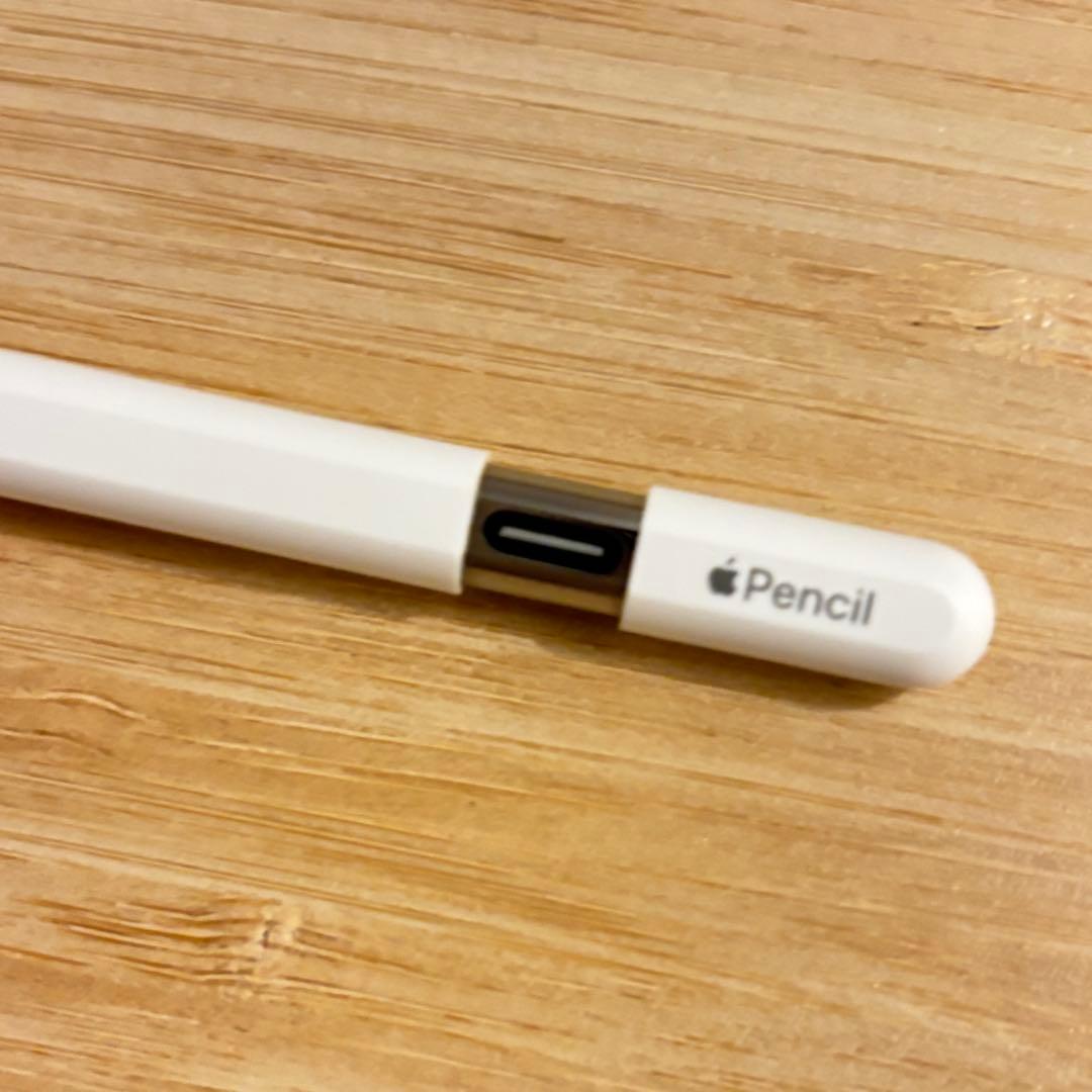 iPadアクセサリー Apple Pencil (USB-C)