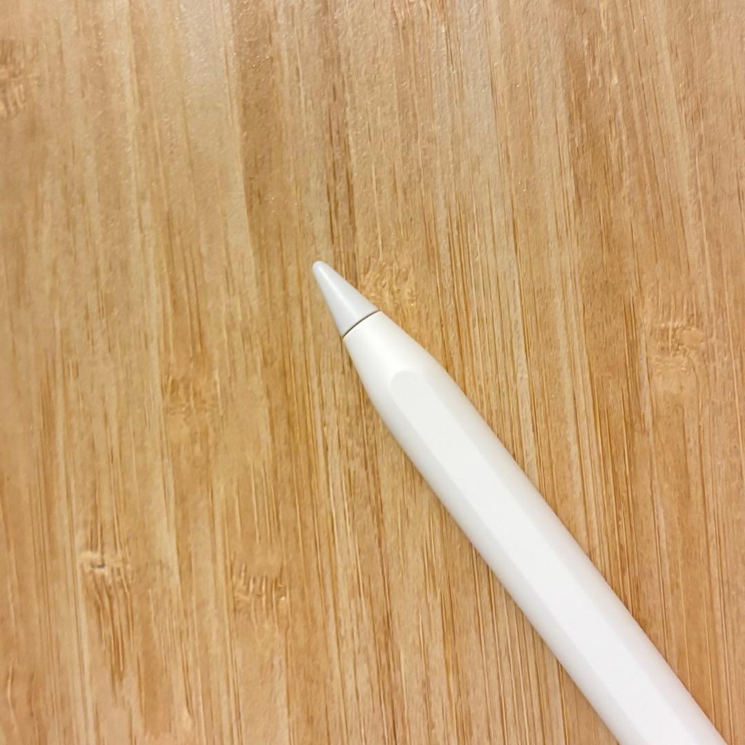 iPadアクセサリー Apple Pencil (USB-C)