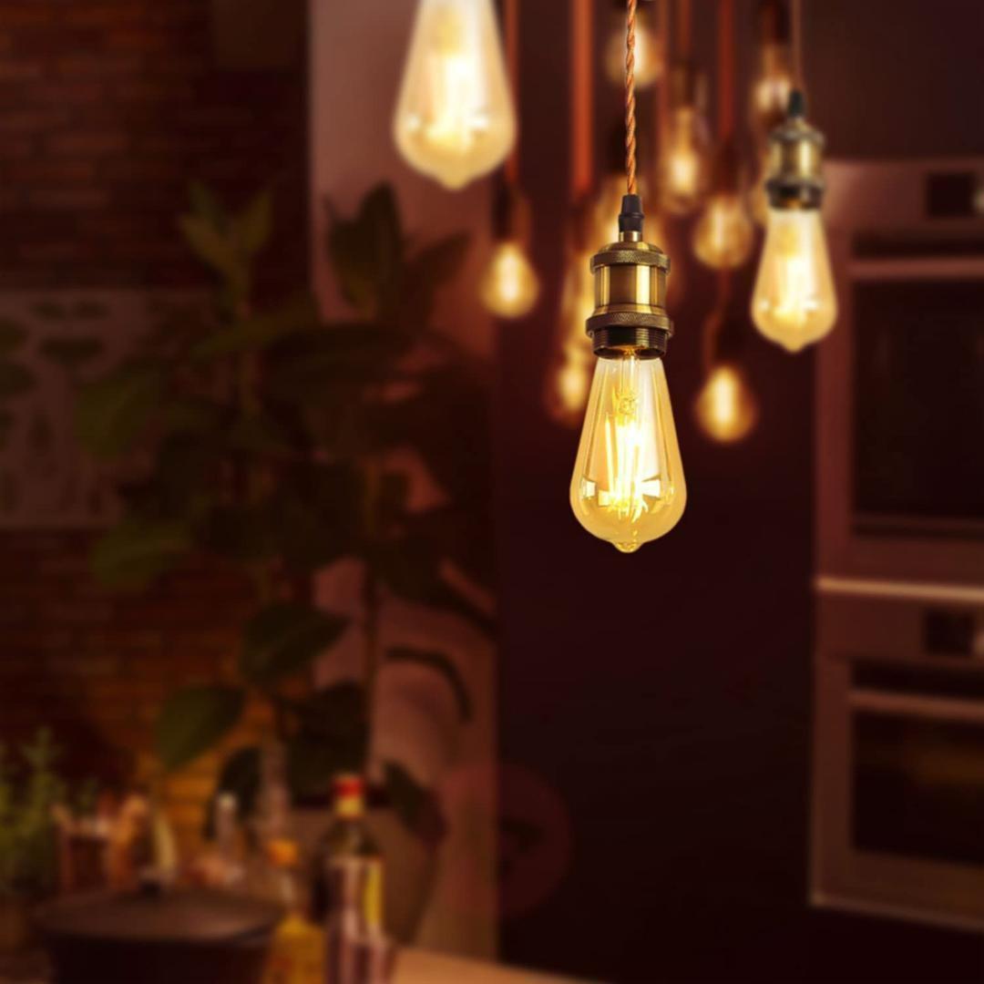 【M2086-69-45】ペンダントライト E26口金 LED電球付き エジソン