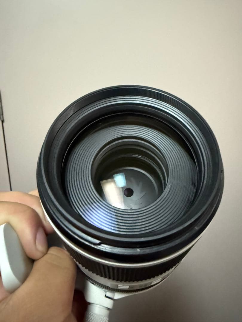 【最終値下げ】Canon RF 70-200mm F2.8 IS USM