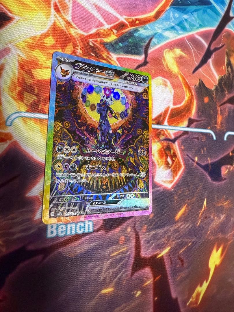 ブラッキーex SAR SV8a テラスタルフェスex 217/187 美品