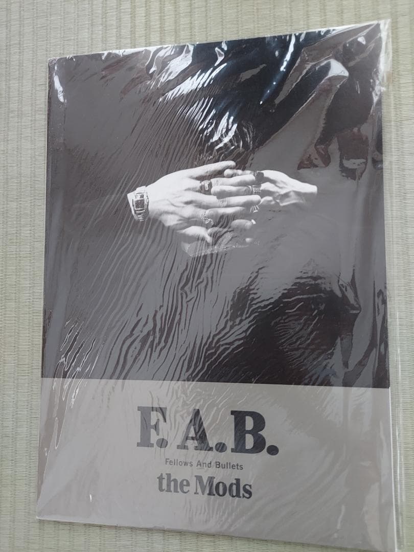 ザモッズ　　F.A.B　trustmetrustyou　TOURパンフ２冊セット
