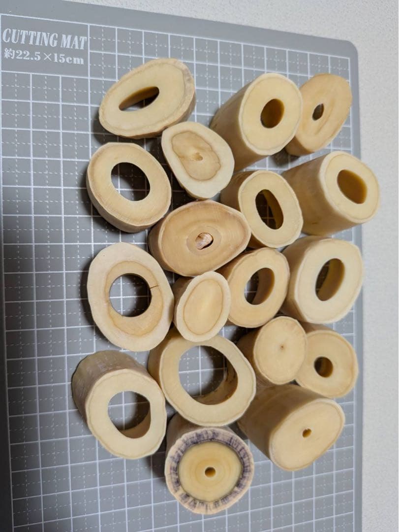 マッコウクジラ歯本物 根元小さいサイズ