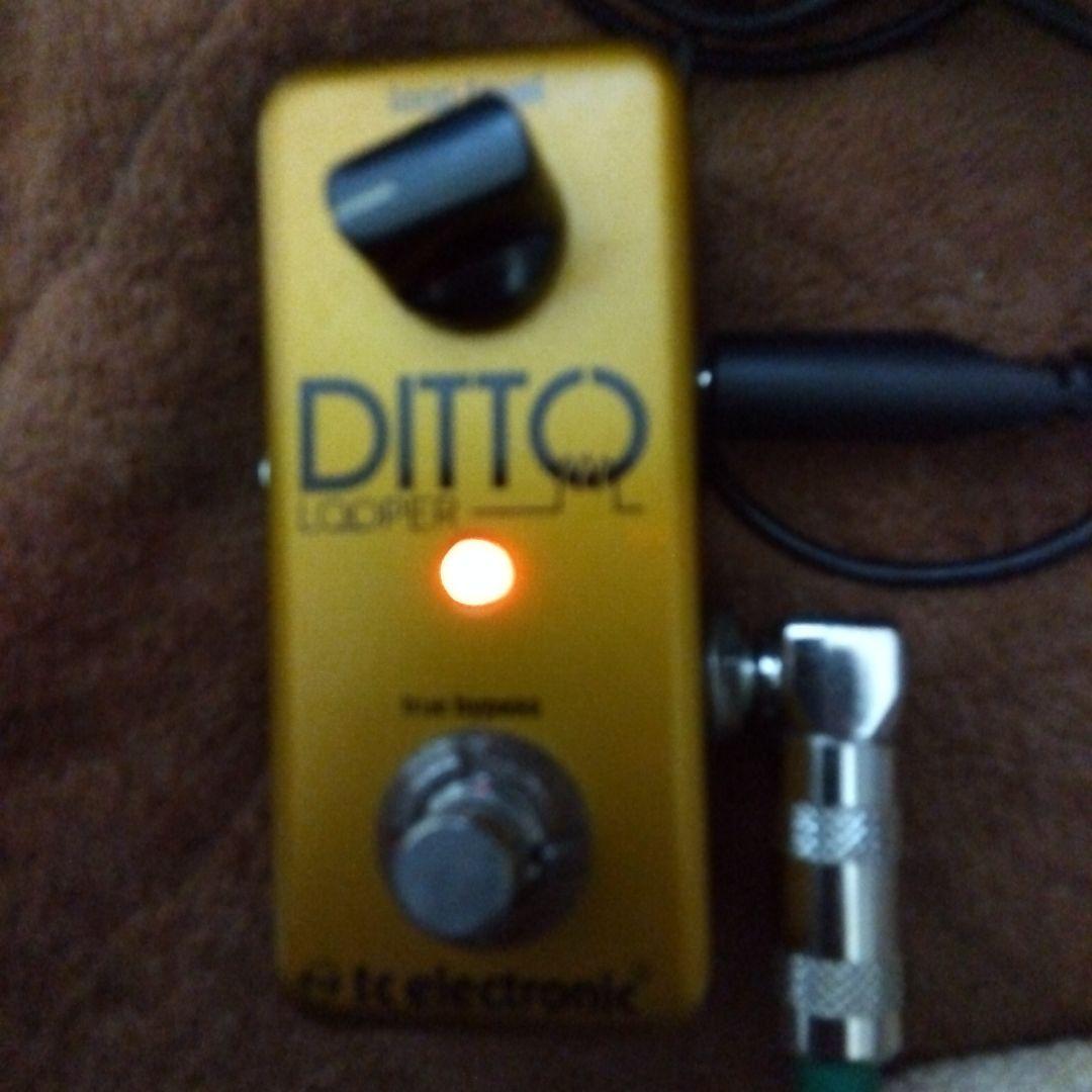 期間限定販売！tc electronic DITTO LOOPER ゴールド
