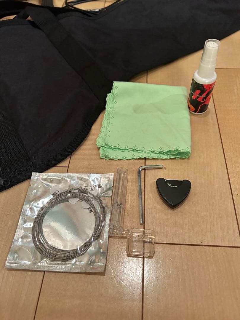 Burny レスポール 初心者フルセット アンプ付き