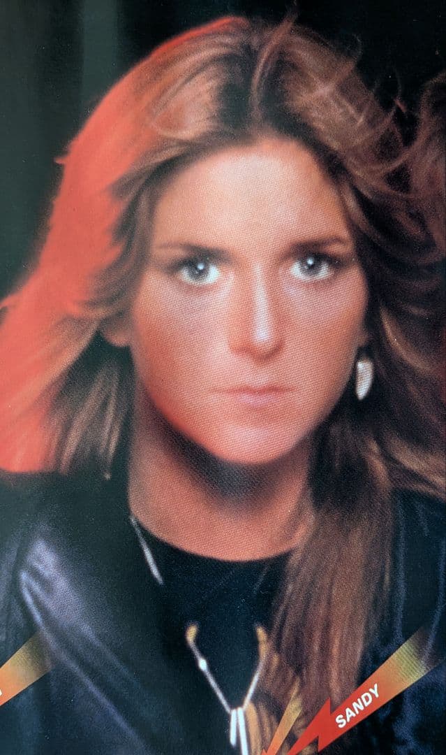 ザ ランナウェイズ 1977年 4thアルバム 激レア プロモポスター 美中古品