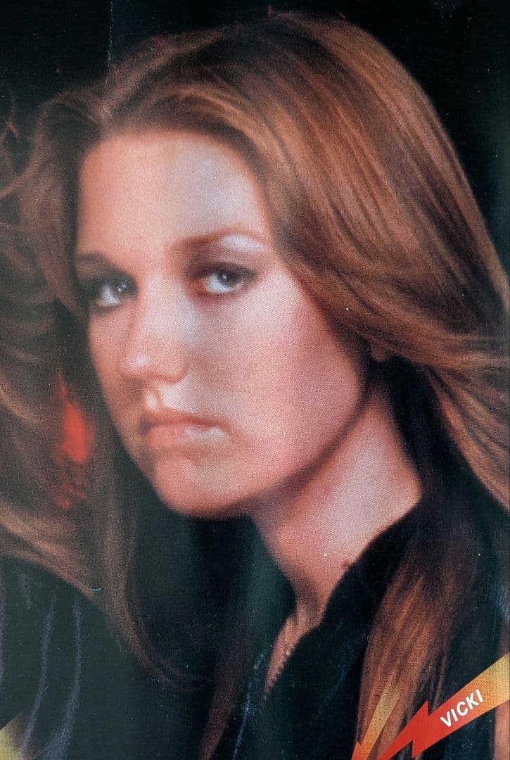 ザ ランナウェイズ 1977年 4thアルバム 激レア プロモポスター 美中古品