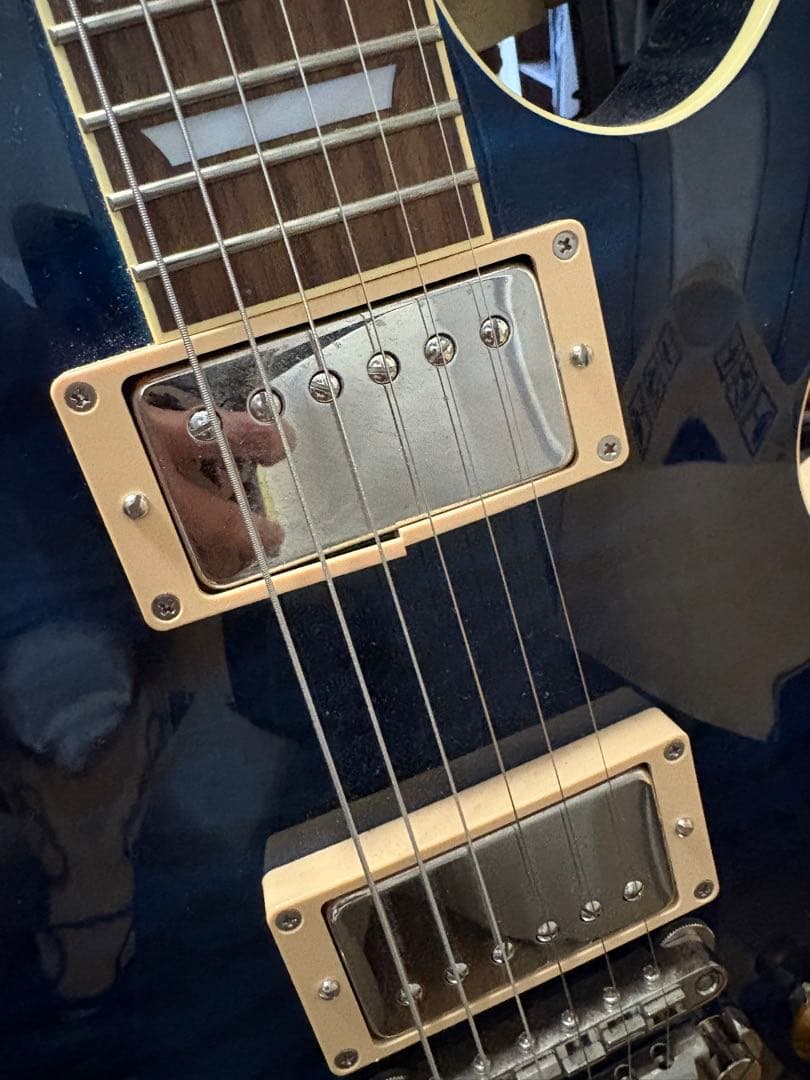 [今月末まで] Tokai LS-101Q IB