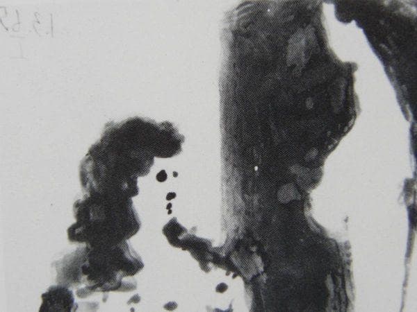 パブロ ピカソ(PABLO PICASSO)、【二人の女】、希少画集より