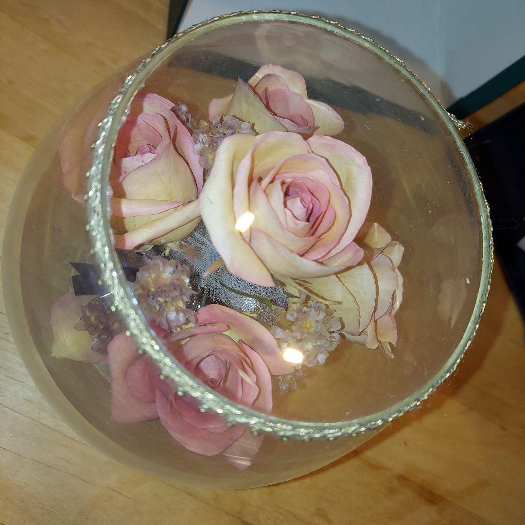 Irish Dresden Ireland　白鳥　レース　ピンク　置物