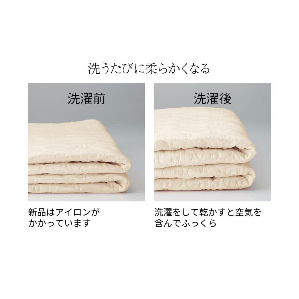 pasima ミッキーマウス 敷きパッド 日本製