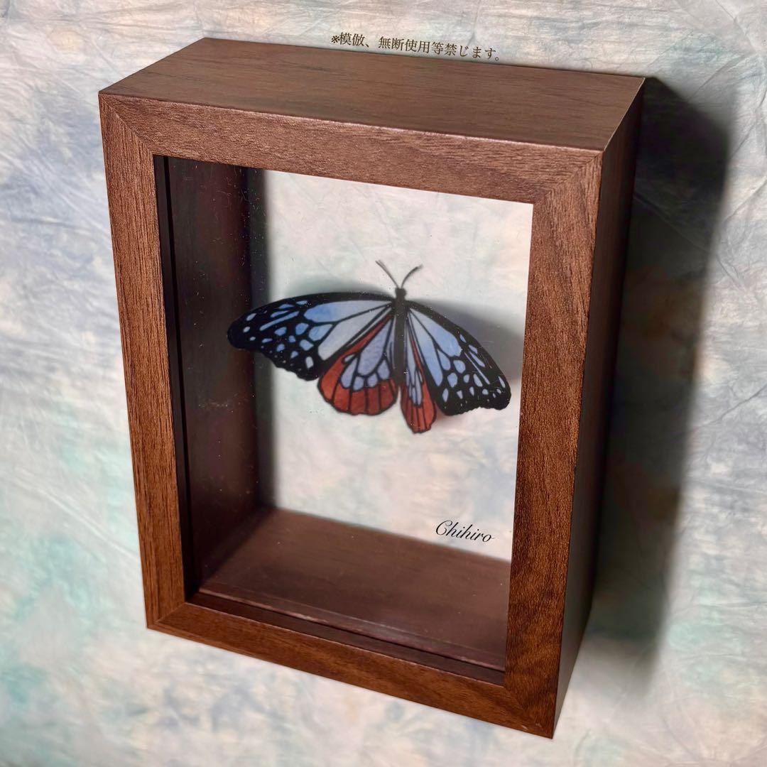 絵画 蝶 切り絵 蝶標本 アサギマダラ 藍斑蝶 ドイツ箱 蝴蝶 マダラ蝶 藝術品