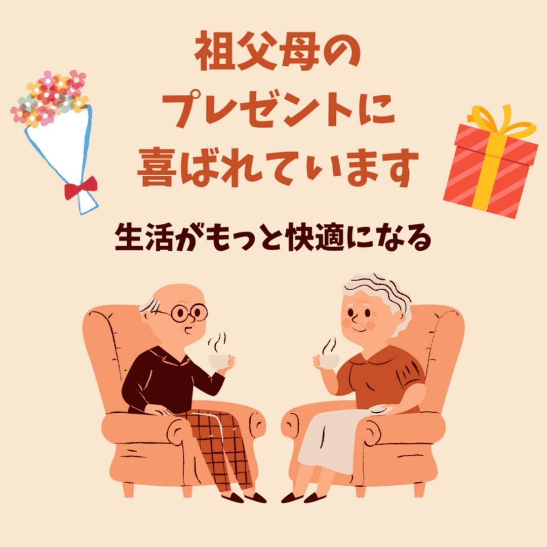 集音器 充電式 ポケット型 補聴器代わり 10日間再生 両耳対応 紛失防止 黒