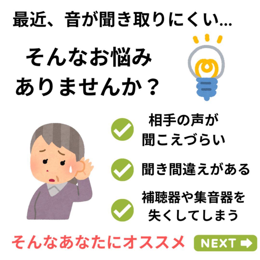集音器 充電式 ポケット型 補聴器代わり 10日間再生 両耳対応 紛失防止 黒