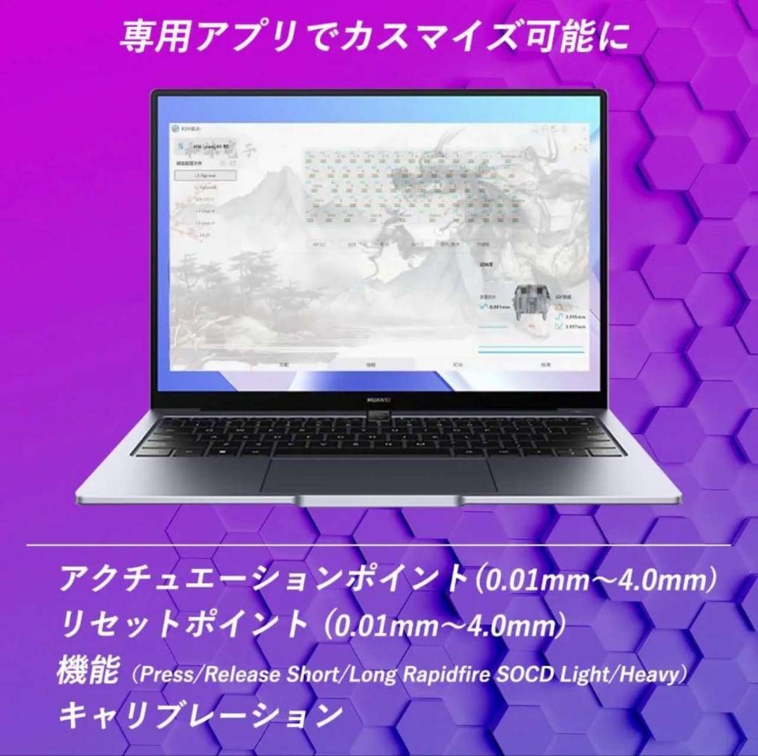 【新品未開封・TTC KOM 5個付】Sikakeyb Castle HM66