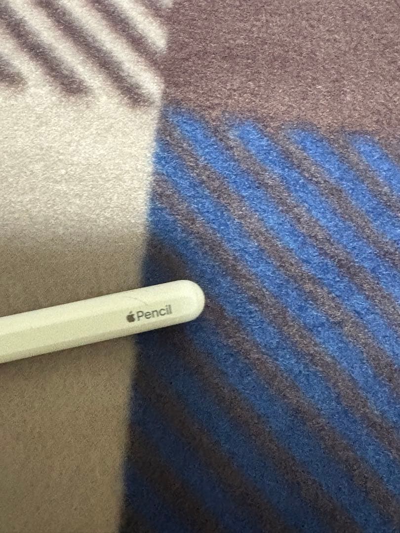 Apple Pencil (第2世代) 替え芯2本付き