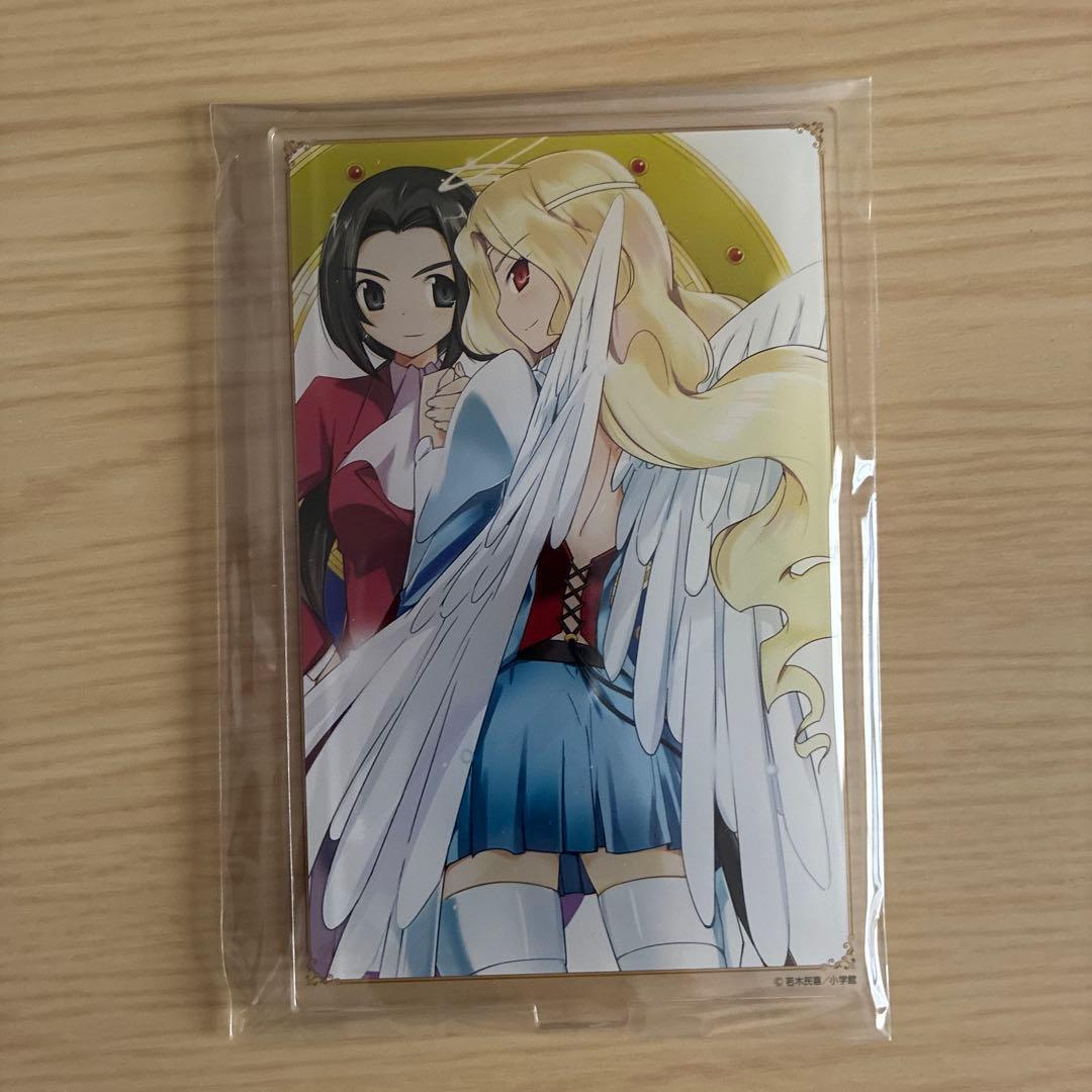 神のみぞ知るセカイ グッズまとめ売り