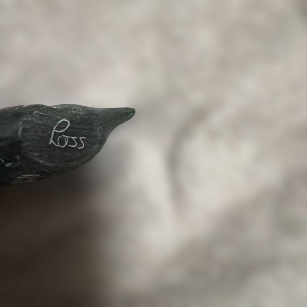 ソープストーン　オットセイ　彫刻置物