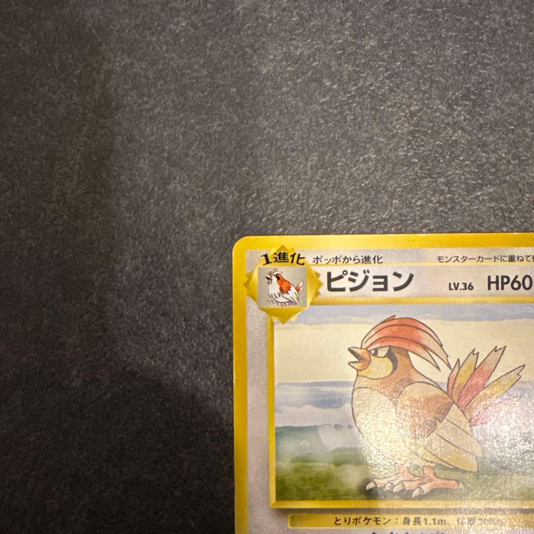 ピジョン　初版　右下マークなし　ポケモンカードゲーム　旧裏面