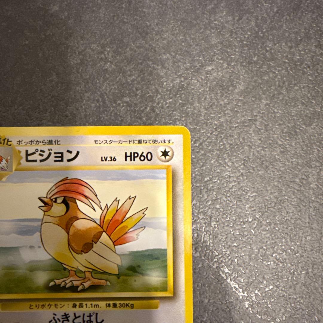 ピジョン　初版　右下マークなし　ポケモンカードゲーム　旧裏面