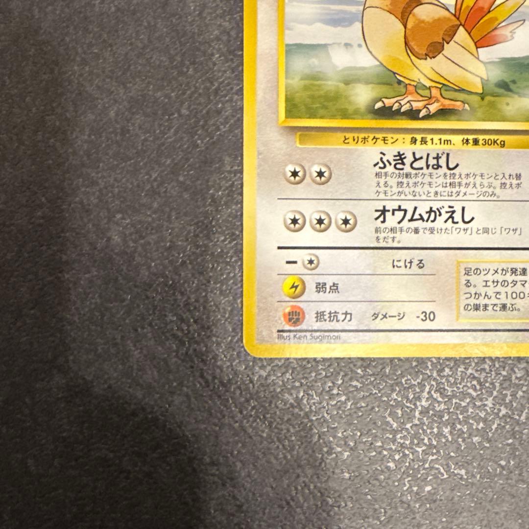 ピジョン　初版　右下マークなし　ポケモンカードゲーム　旧裏面