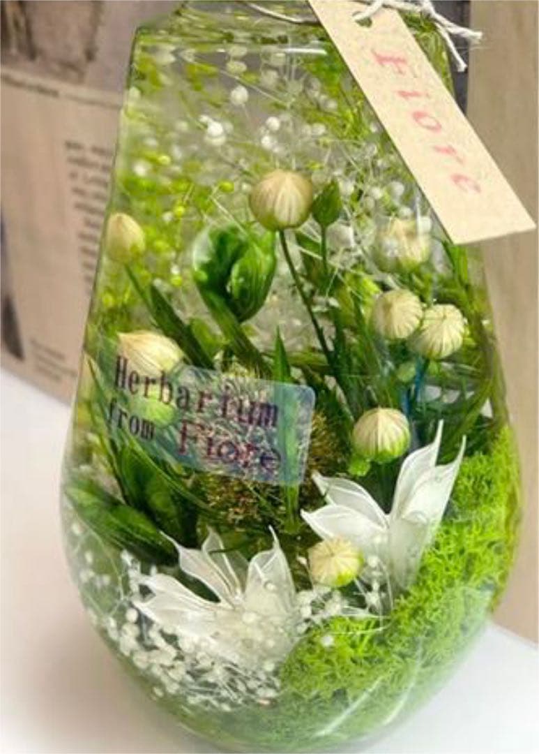 グリーンフォレスト  小さな森の中　＊しずく＊　超ボタニカル　B  ハーバリウム