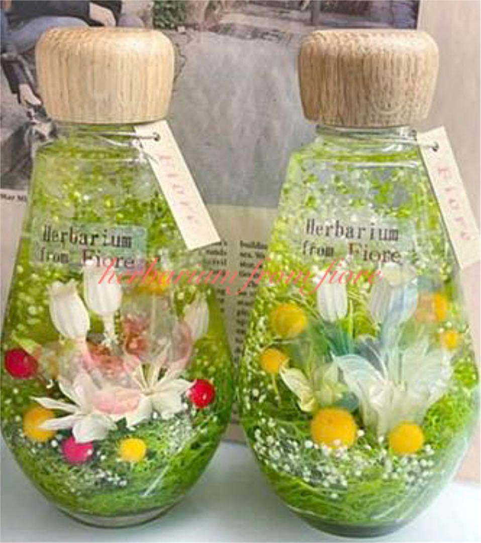 グリーンフォレスト  小さな森の中　＊しずく＊　超ボタニカル　B  ハーバリウム