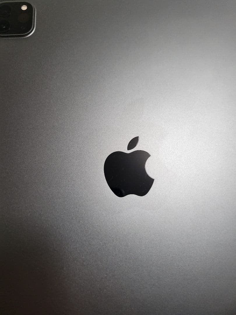 iPad Pro (第3世代) 11インチ M1 スペースグレー