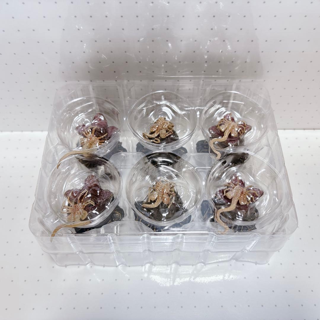Alien eggs エイリアンの卵 フィギュア フェイスハガー