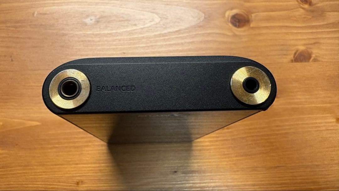 SONY NW-WM1AM2＋本革製ケース【再生500時間／おまけ付き】