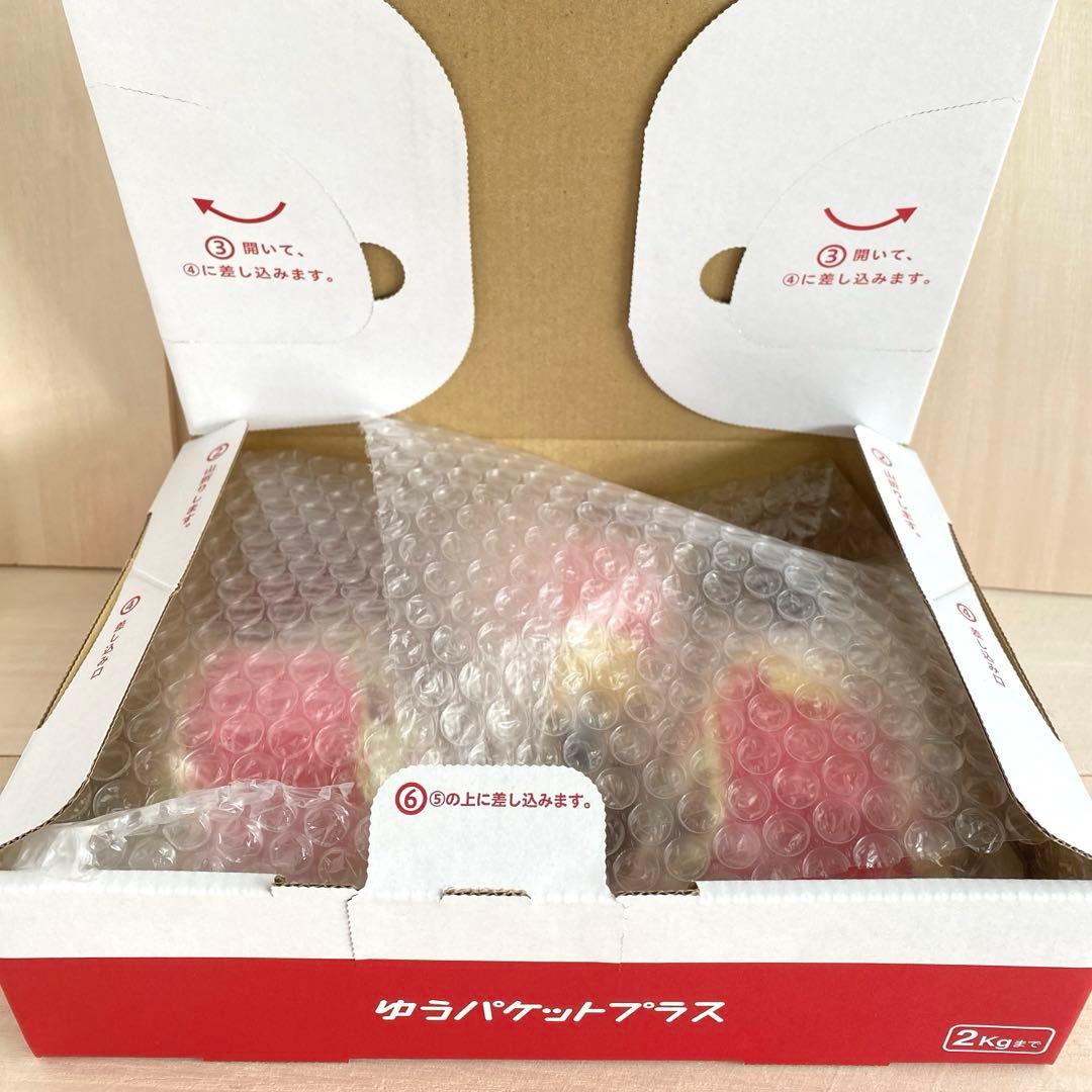 三人官女　白　ペキニーズ　★ 羊毛フェルト　雛人形　　　ハンドメイド